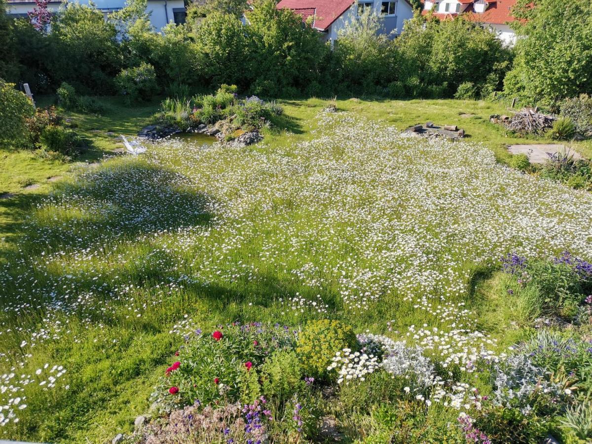 Moderne Ferienwohnung Gartenblick Amtzell ภายนอก รูปภาพ